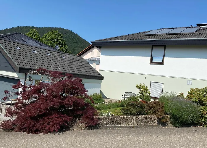 Apartmán Marie Loffenau